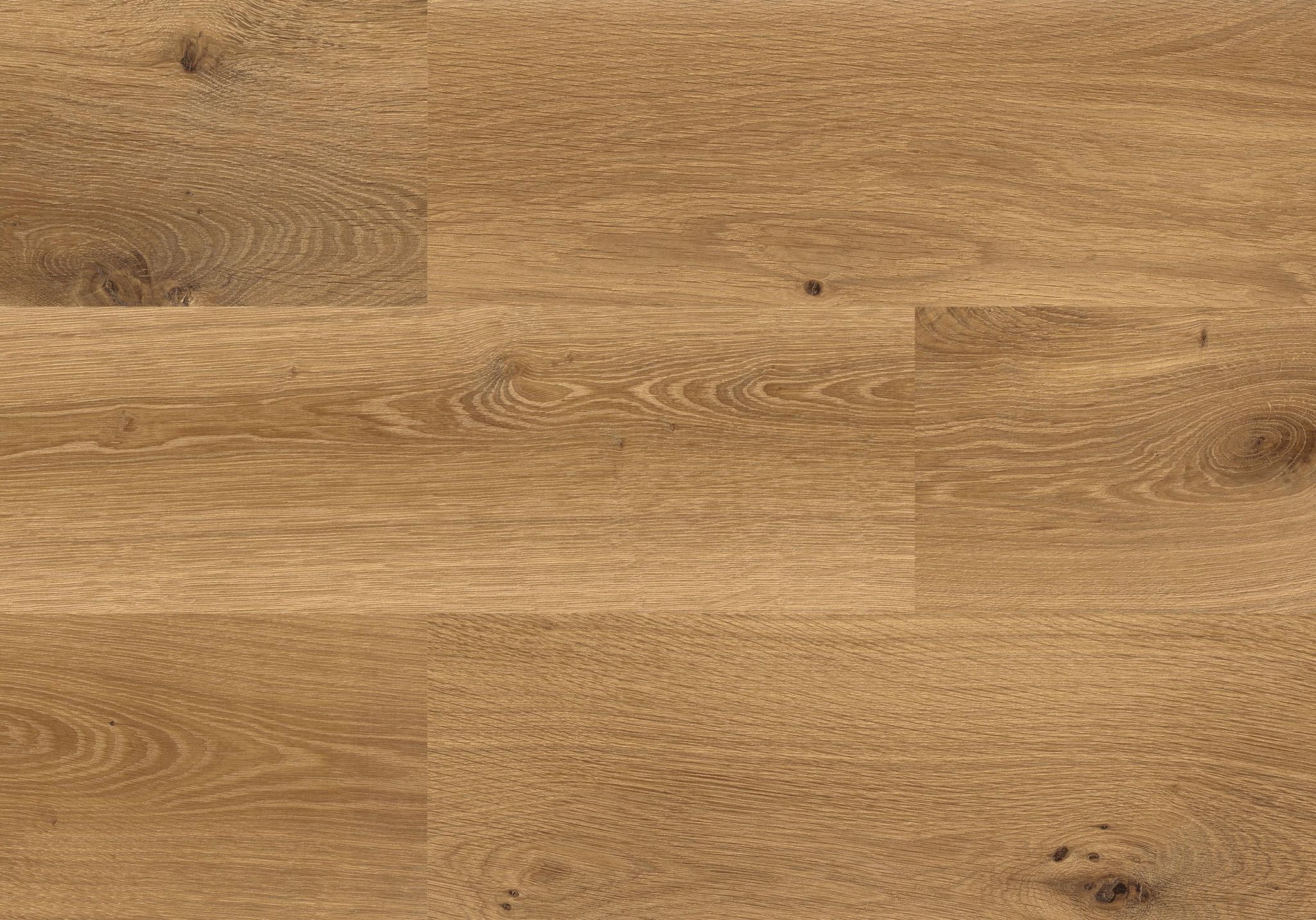 Kaya Oak Wellington | Revere Tile Company