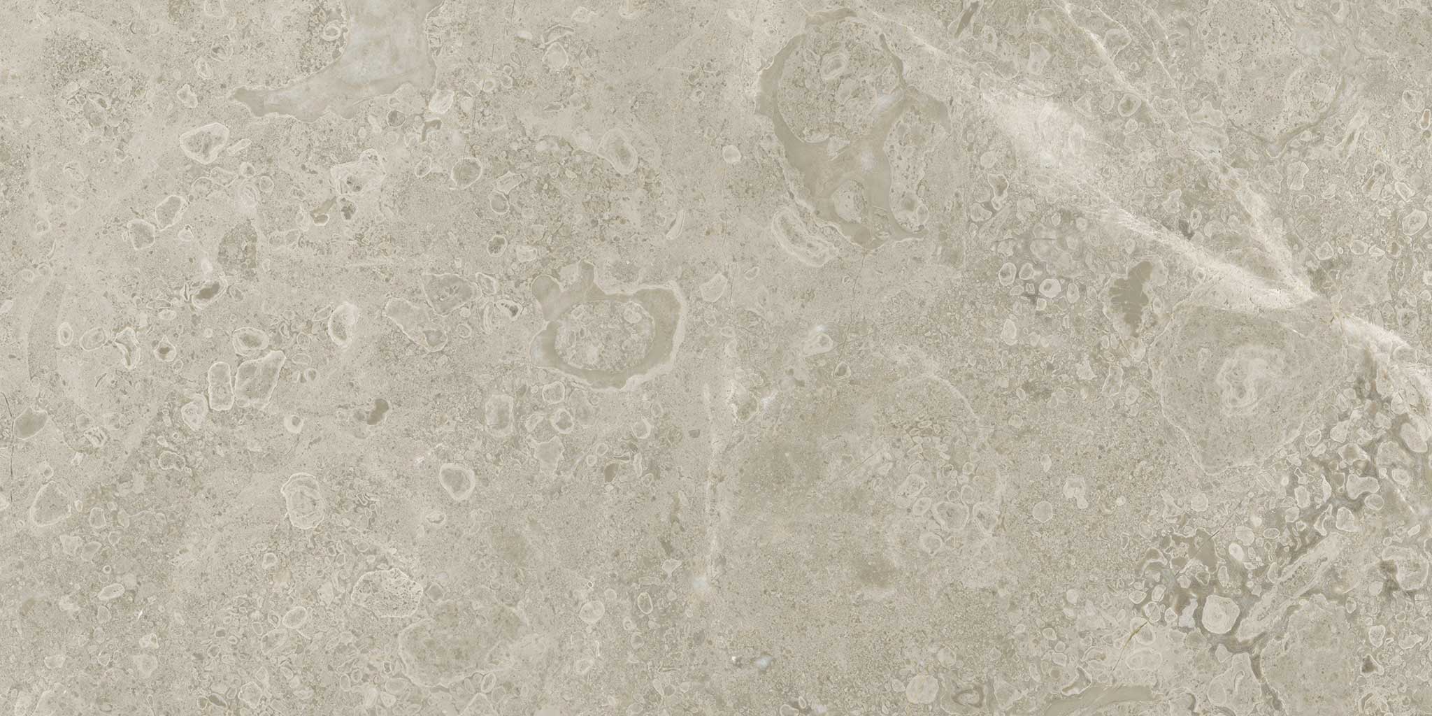 Ritz Gray 12x24 | Revere Tile Company